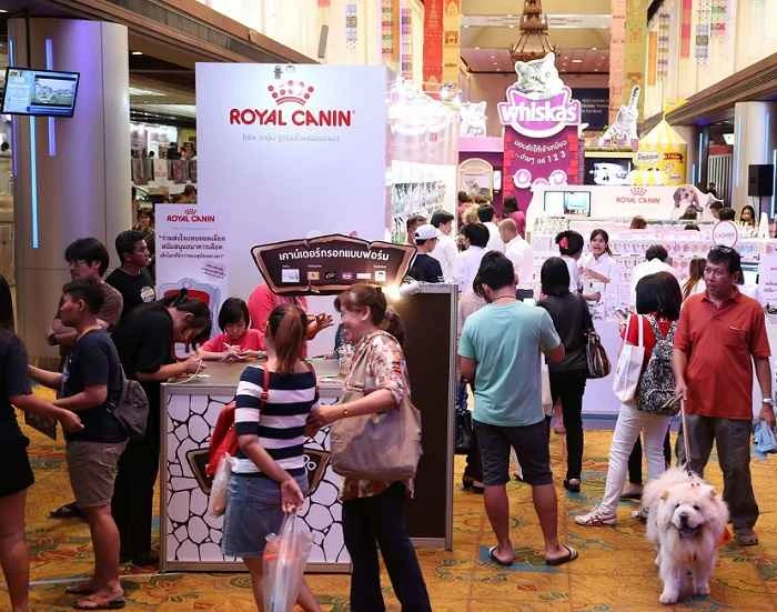 Tarifs et modalités d'inscription pour les stands au salon des animaux de compagnie de Thaïlande 2026